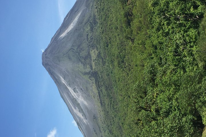 ARENAL VOLCANO RAINFOREST